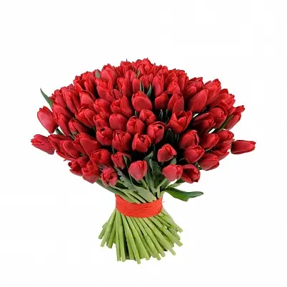 Купить Тюльпаны красные 15,25,35,51,101 шт на выбор в Москве