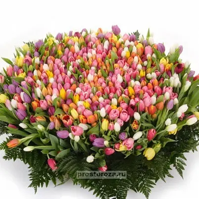 Купить Тюльпаны 501 шт в корзине (B1264) в Москве